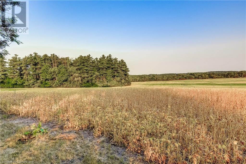 2425 Hespeler RoadCambridge, Ontario  N3C 2V3 - Photo 41 - 40648392