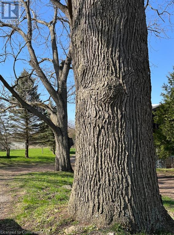 1457 97 Regional Road, Hamilton, Ontario  L9H 5E3 - Photo 20 - XH4133503