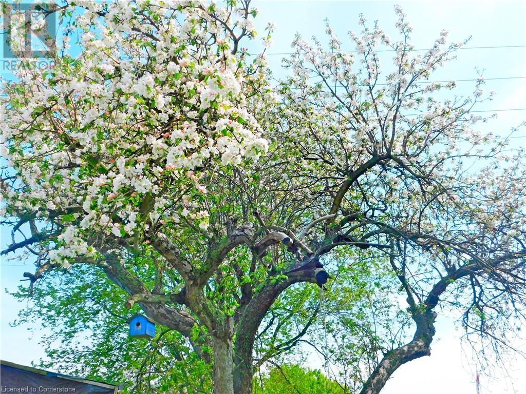 1475 Lakeshore Road, Selkirk, Ontario N0A 1P0 - Photo 18 - XH4166004