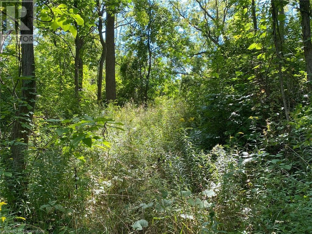 Pt Lt 3 Effingham Street, Fonthill, Ontario L2R 6P7 - Photo 2 - XH4182551