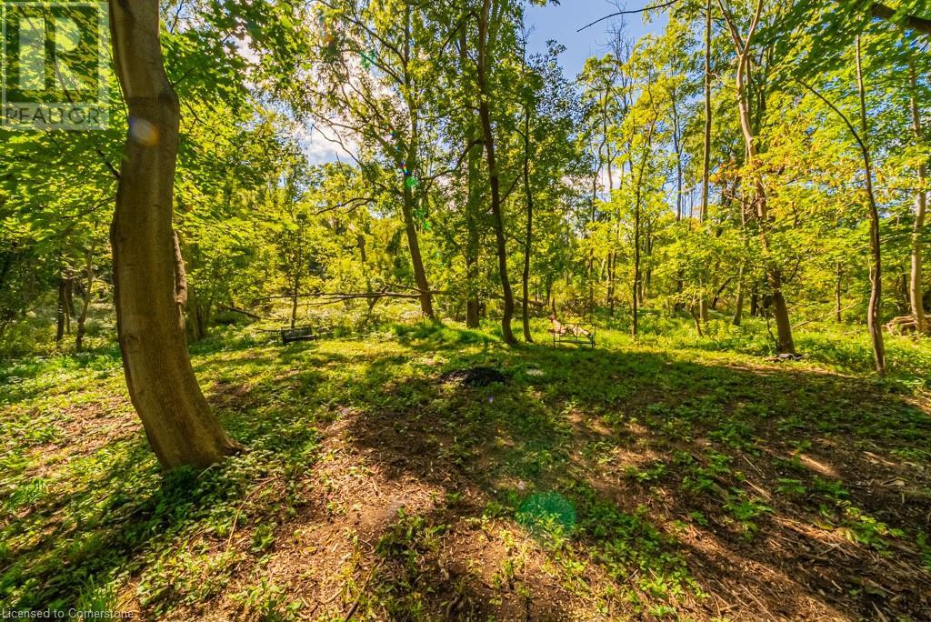 704 Old Dundas Road, Hamilton, Ontario  L9H 5E3 - Photo 46 - XH4185062