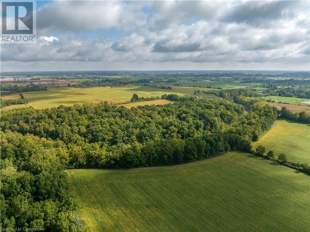 1358 #54 Highway, Caledonia, Ontario  N3W 2G9 - Photo 10 - XH4186420