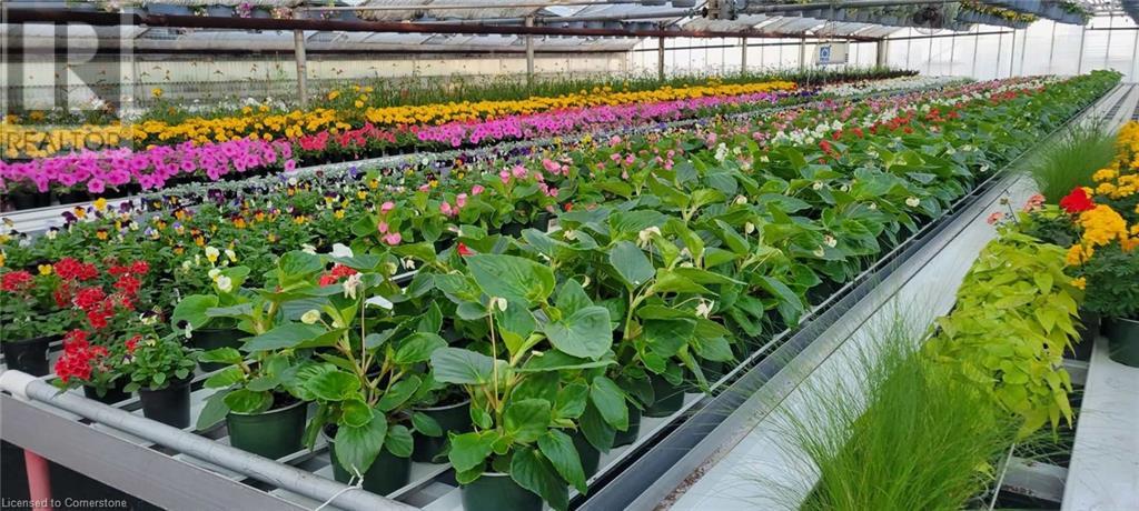 234, 228 Read Road, St. Catharines, Ontario  L2R 7K6 - Photo 39 - XH4187401