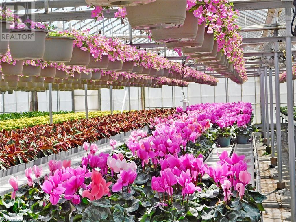 234, 228 Read Road, St. Catharines, Ontario  L2R 7K6 - Photo 1 - XH4187422