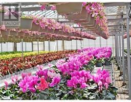 234, 228 READ Road, st. catharines, Ontario
