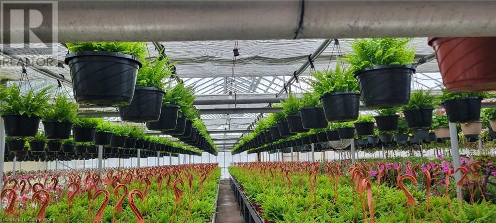 234, 228 Read Road, St. Catharines, Ontario  L2R 7K6 - Photo 34 - XH4187422