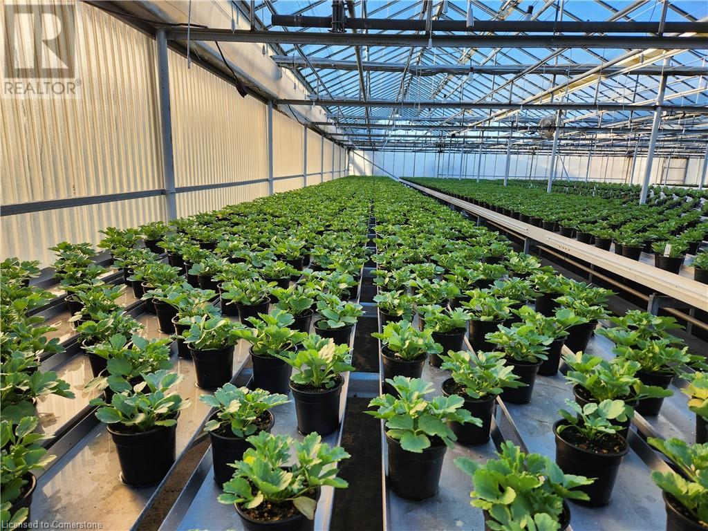 234, 228 Read Road, St. Catharines, Ontario  L2R 7K6 - Photo 42 - XH4187422