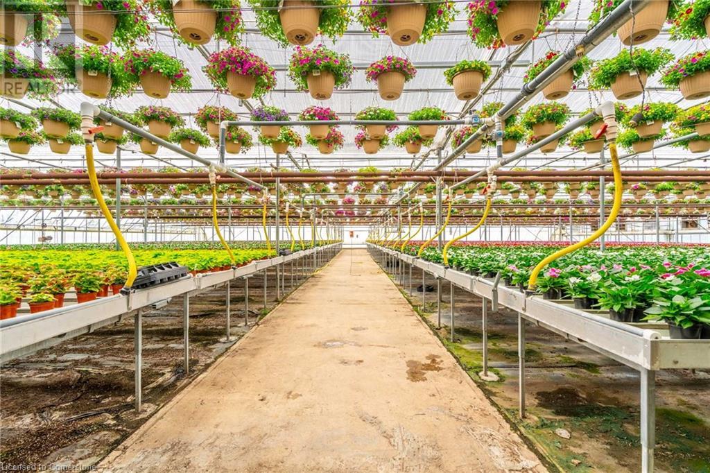 220 Read Road, St. Catharines, Ontario L2R 7K6 - Photo 30 - XH4189023