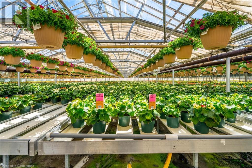 220 Read Road, St. Catharines, Ontario L2R 7K6 - Photo 23 - XH4189023