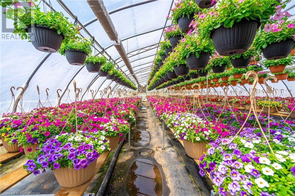 220 Read Road, St. Catharines, Ontario L2R 7K6 - Photo 40 - XH4189023