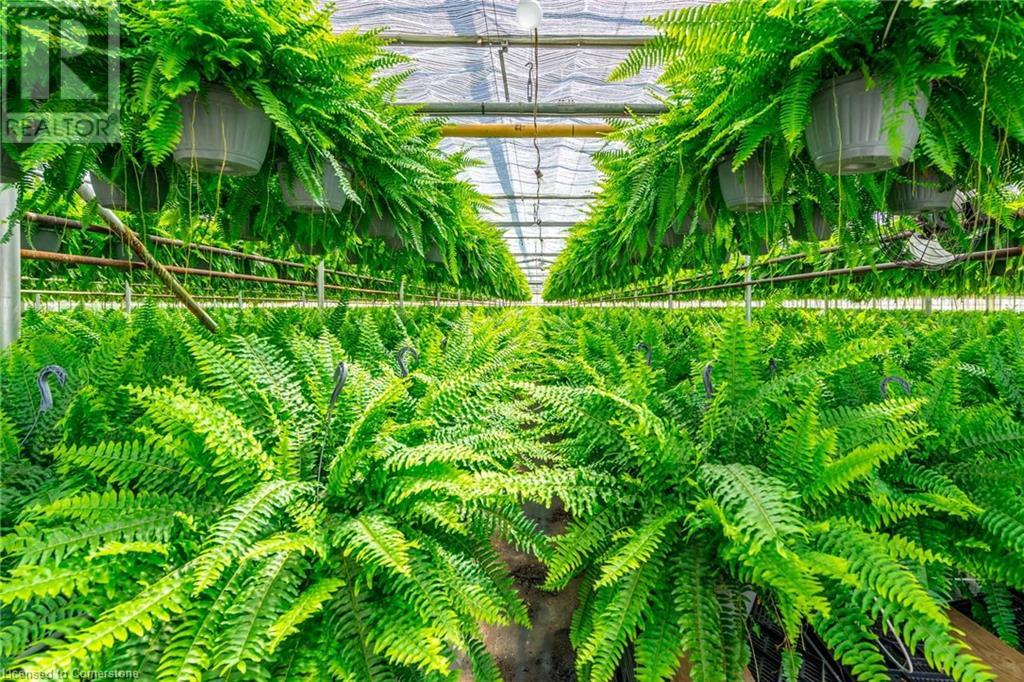 220 Read Road, St. Catharines, Ontario L2R 7K6 - Photo 20 - XH4189023