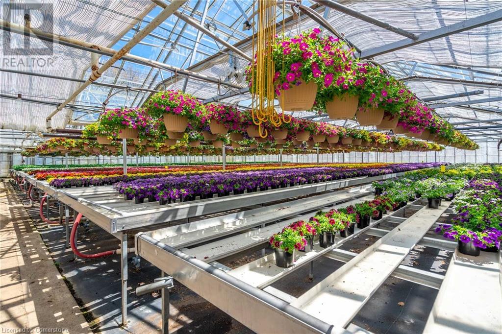 220 Read Road, St. Catharines, Ontario L2R 7K6 - Photo 12 - XH4189023