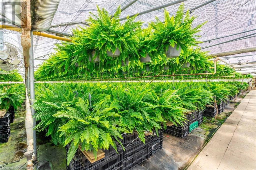 220 Read Road, St. Catharines, Ontario L2R 7K6 - Photo 19 - XH4189023