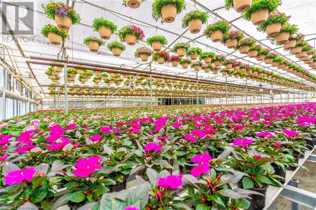 220 Read Road, St. Catharines, Ontario L2R 7K6 - Photo 34 - XH4189023