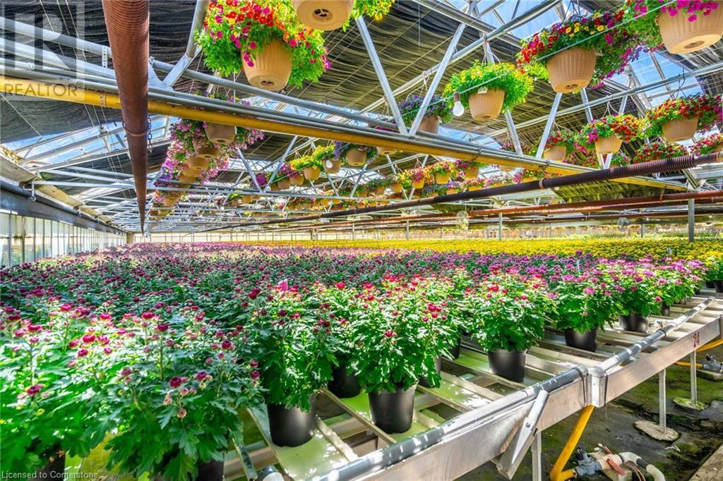 220 Read Road, St. Catharines, Ontario L2R 7K6 - Photo 25 - XH4189023