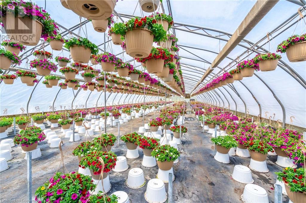 220 Read Road, St. Catharines, Ontario L2R 7K6 - Photo 42 - XH4189023