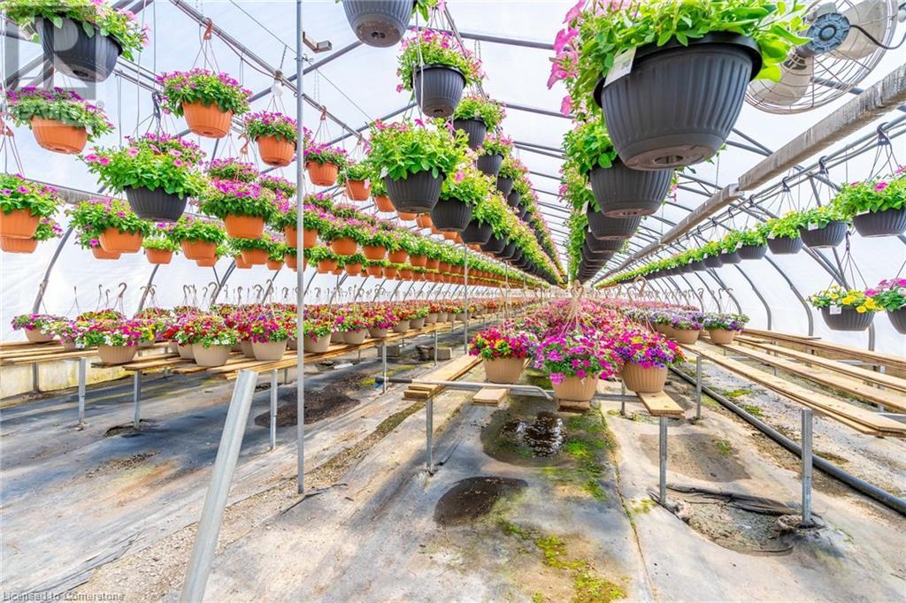 220 Read Road, St. Catharines, Ontario L2R 7K6 - Photo 38 - XH4189023