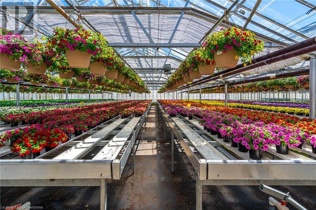 220 Read Road, St. Catharines, Ontario L2R 7K6 - Photo 13 - XH4189023