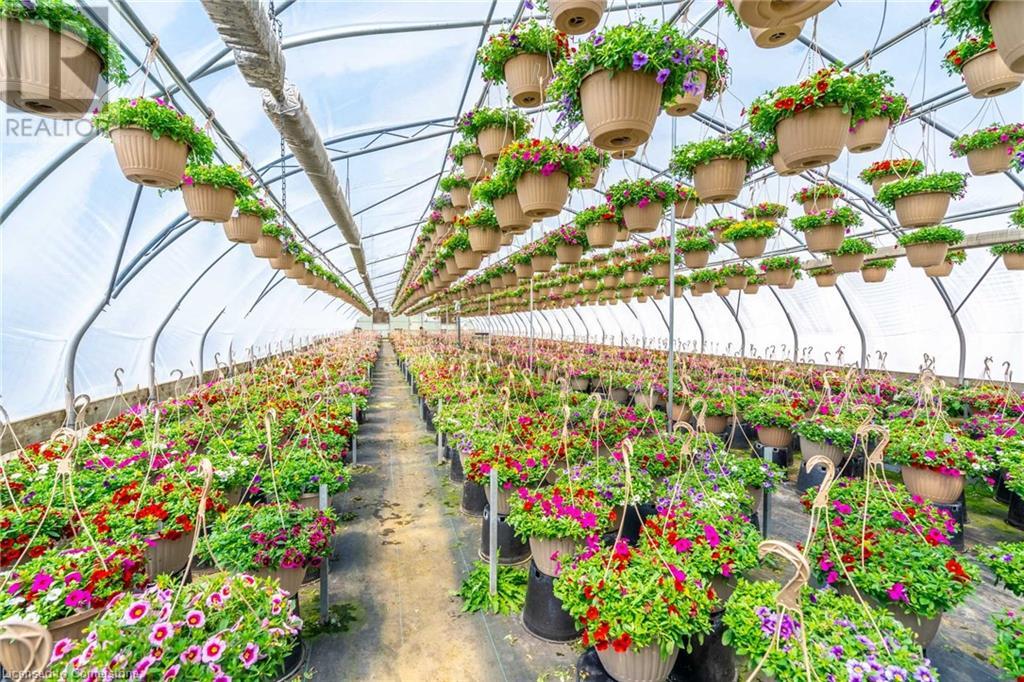 220 Read Road, St. Catharines, Ontario L2R 7K6 - Photo 37 - XH4189023