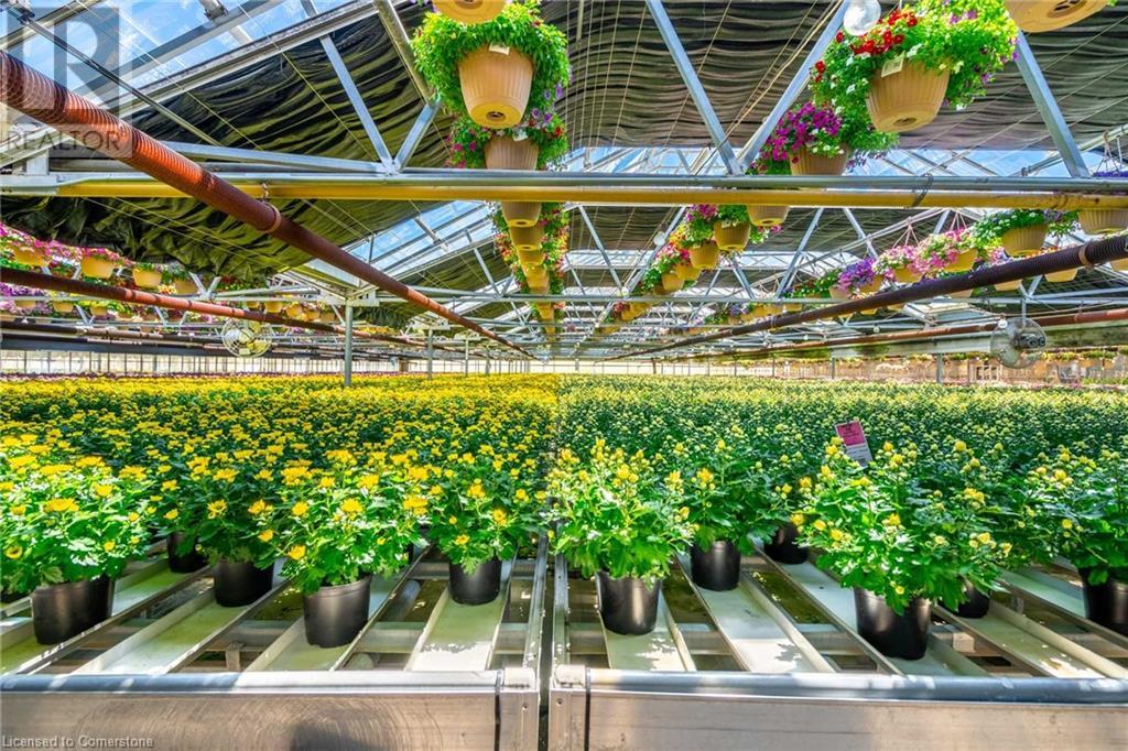 220 Read Road, St. Catharines, Ontario L2R 7K6 - Photo 26 - XH4189023