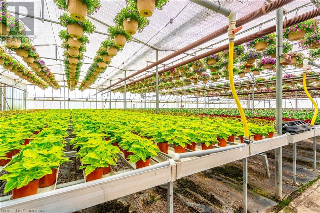 220 Read Road, St. Catharines, Ontario L2R 7K6 - Photo 32 - XH4189023