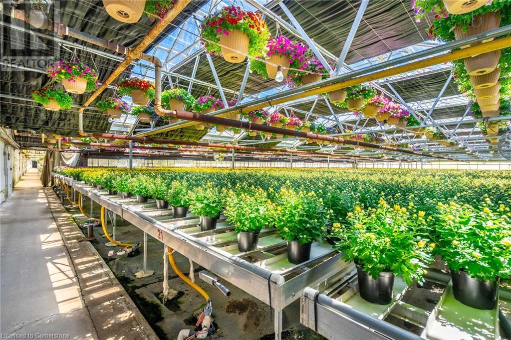 220 Read Road, St. Catharines, Ontario L2R 7K6 - Photo 28 - XH4189023