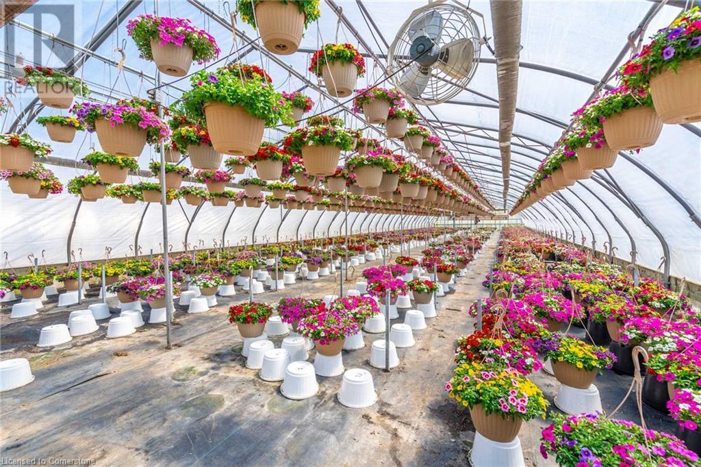 220 Read Road, St. Catharines, Ontario L2R 7K6 - Photo 41 - XH4189023