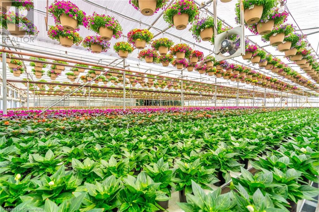 220 Read Road, St. Catharines, Ontario L2R 7K6 - Photo 33 - XH4189023