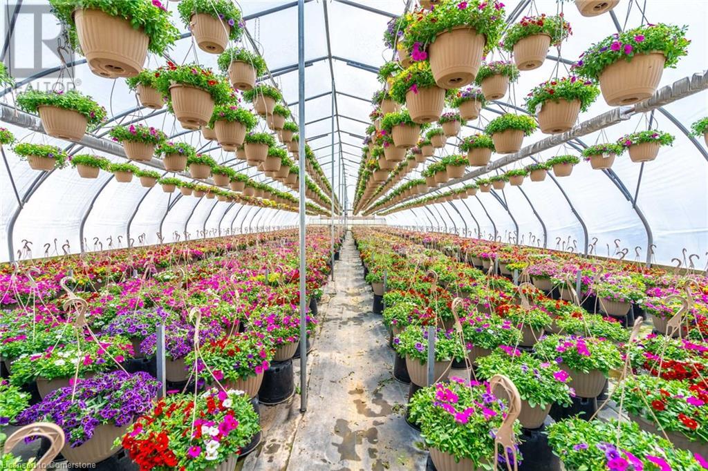 220 Read Road, St. Catharines, Ontario L2R 7K6 - Photo 36 - XH4189023