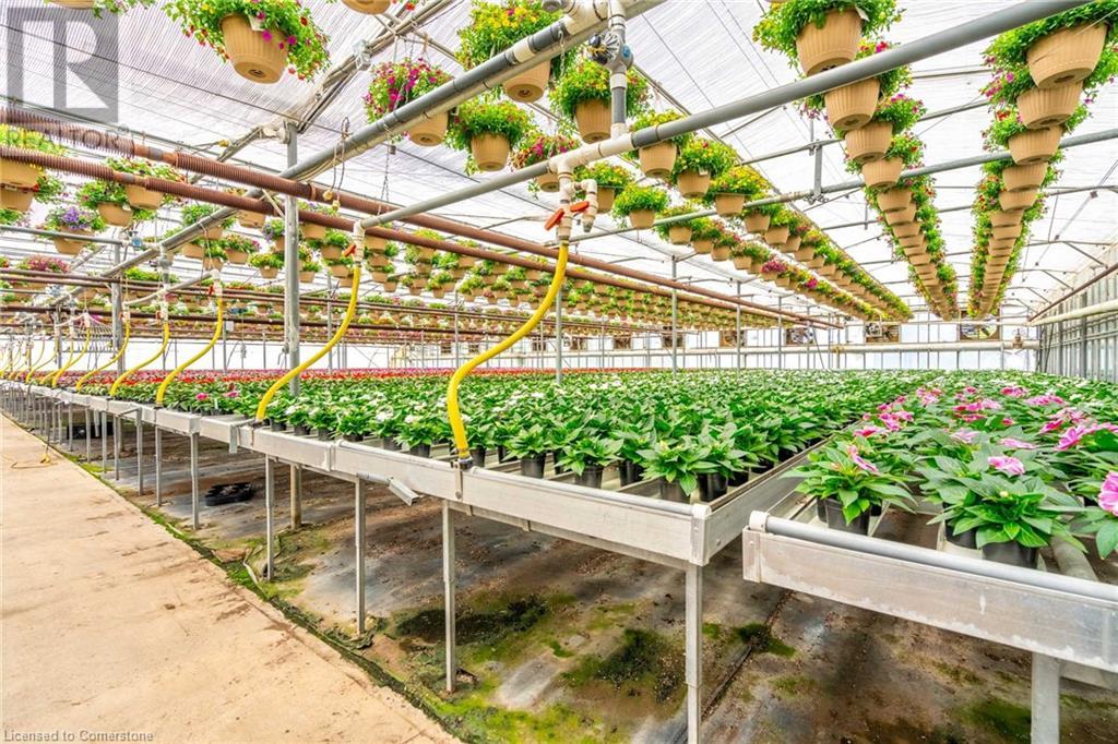 220 Read Road, St. Catharines, Ontario L2R 7K6 - Photo 31 - XH4189023