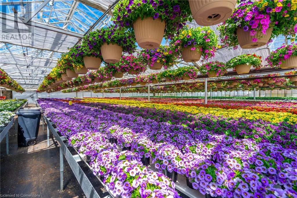 220 Read Road, St. Catharines, Ontario L2R 7K6 - Photo 17 - XH4189023