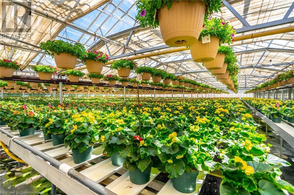 220 Read Road, St. Catharines, Ontario L2R 7K6 - Photo 24 - XH4189023