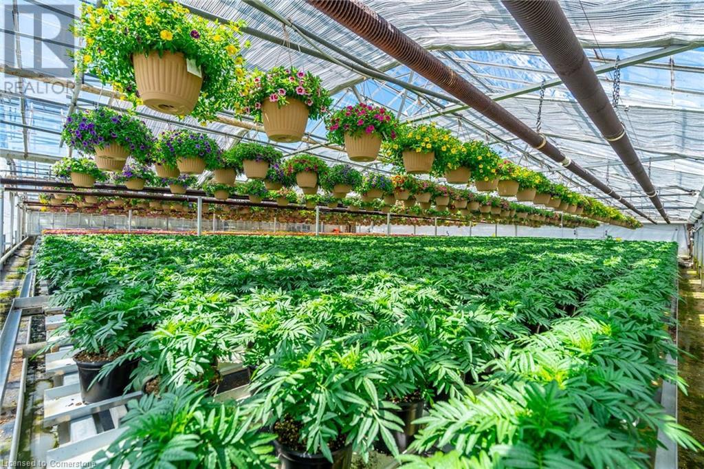 220 Read Road, St. Catharines, Ontario L2R 7K6 - Photo 15 - XH4189023