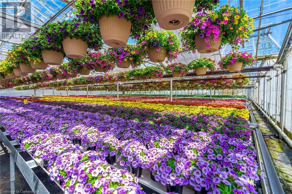 220 Read Road, St. Catharines, Ontario L2R 7K6 - Photo 18 - XH4189023