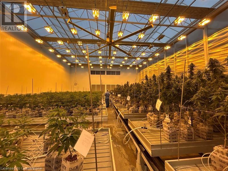 138 8th Concession Road, Langton, Ontario  N0E 1G0 - Photo 22 - XH4189741