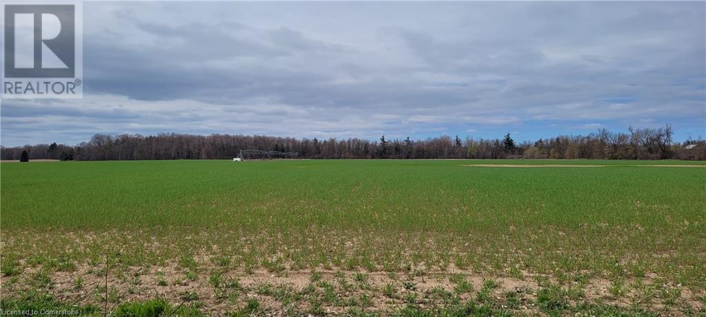 0 Concession 7 Road E, Millgrove, Ontario L8B 1T7 - Photo 9 - XH4191509