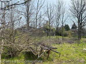 800 Rymal Road E, Hamilton, Ontario L8W 1B7 - Photo 9 - XH4192584