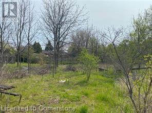 800 Rymal Road E, Hamilton, Ontario  L8W 1B7 - Photo 7 - XH4192584