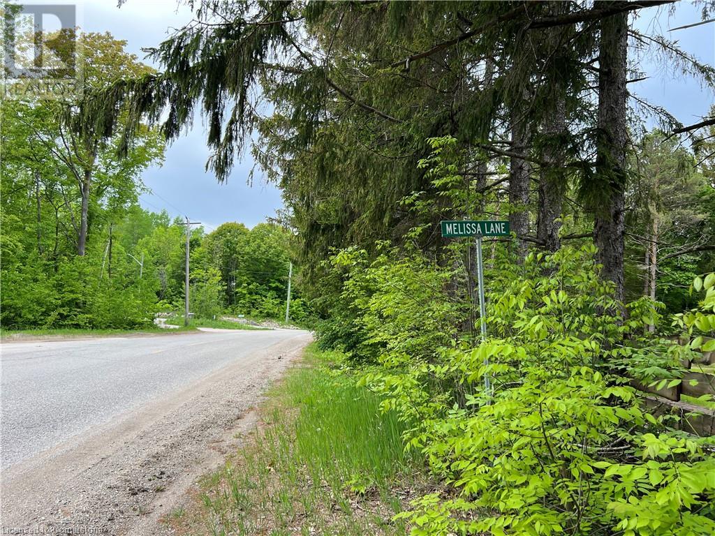 Lot F20 Nippissing Ridge Road, Tiny, Ontario  L9M 0H6 - Photo 4 - XH4193472