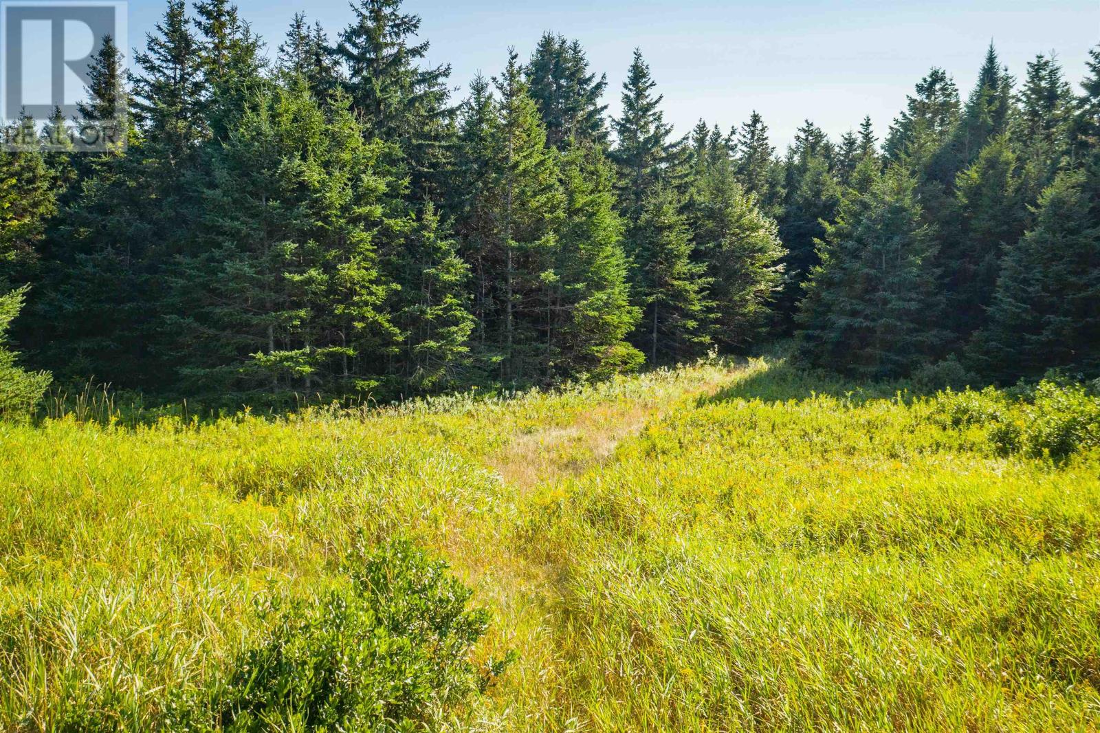 Acreage Lower Rollo Bay Road, Rollo Bay, Prince Edward Island  C0A 2B0 - Photo 15 - 202419356