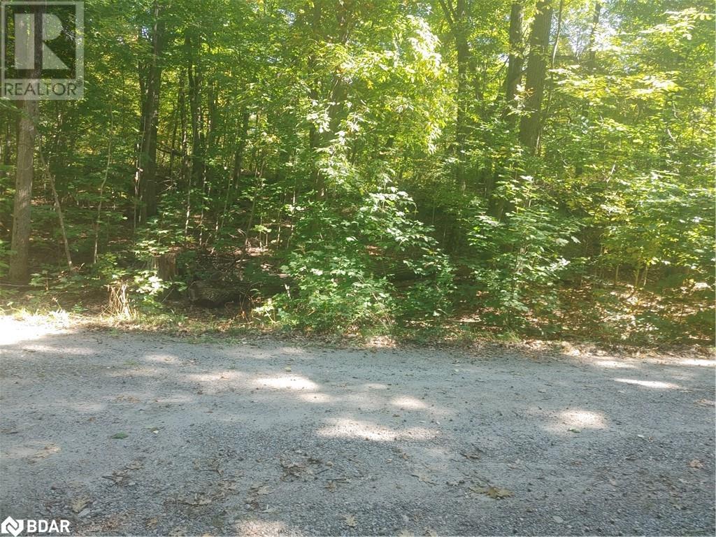 N/A JOHNSTON Road, Seguin, Ontario