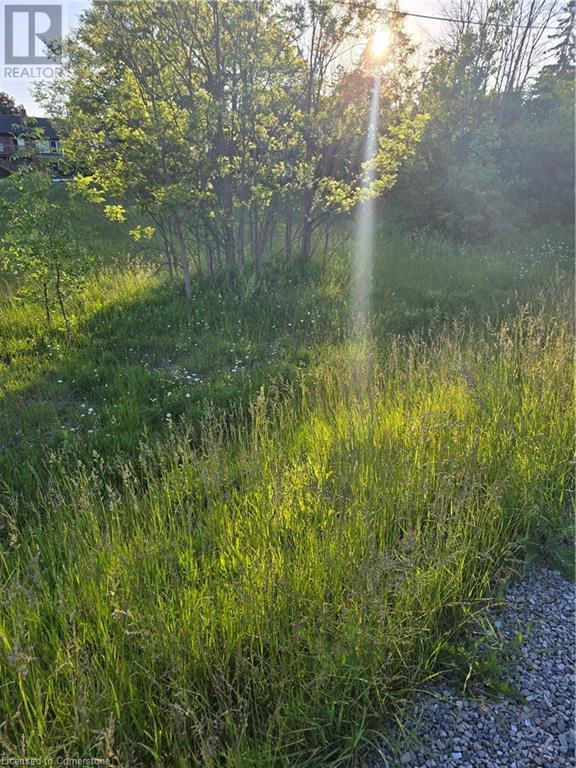 1533 54 Highway, haldimand county, Ontario