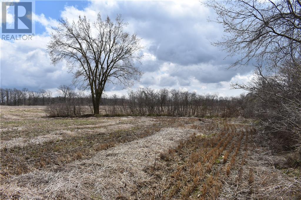 6225 Vaughn Road, Smithville, Ontario L0R 1Y0 - Photo 11 - XH4196578