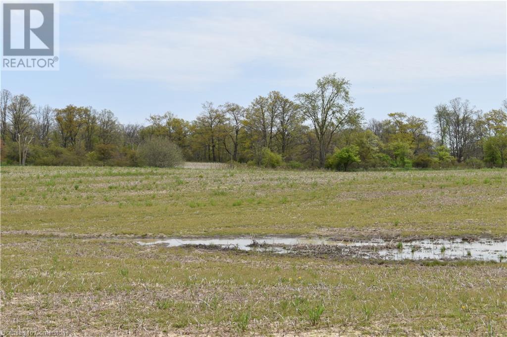 6225 Vaughn Road, Smithville, Ontario L0R 1Y0 - Photo 3 - XH4196578