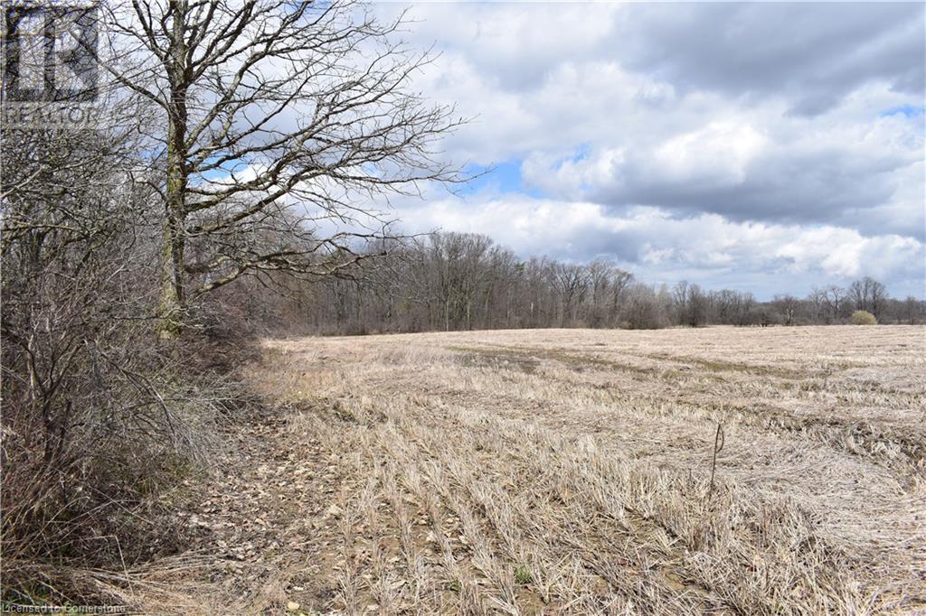 6225 Vaughn Road, Smithville, Ontario L0R 1Y0 - Photo 10 - XH4196578