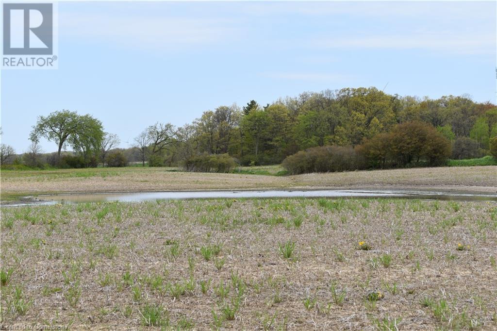 6225 Vaughn Road, Smithville, Ontario L0R 1Y0 - Photo 2 - XH4196578