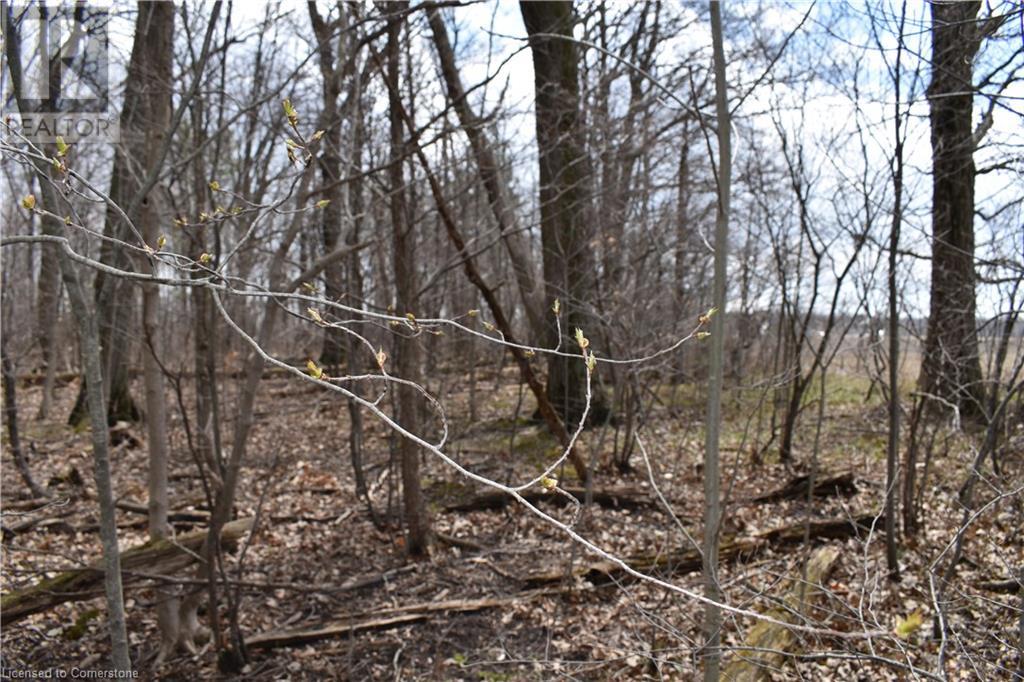 6225 Vaughn Road, Smithville, Ontario L0R 1Y0 - Photo 16 - XH4196578