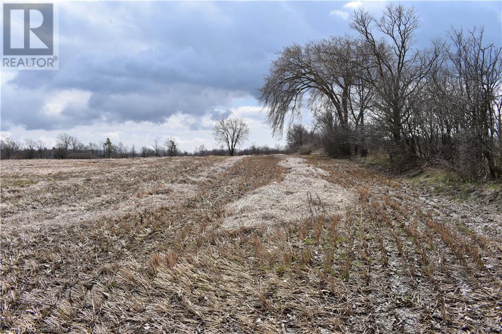6225 Vaughn Road, Smithville, Ontario L0R 1Y0 - Photo 12 - XH4196578