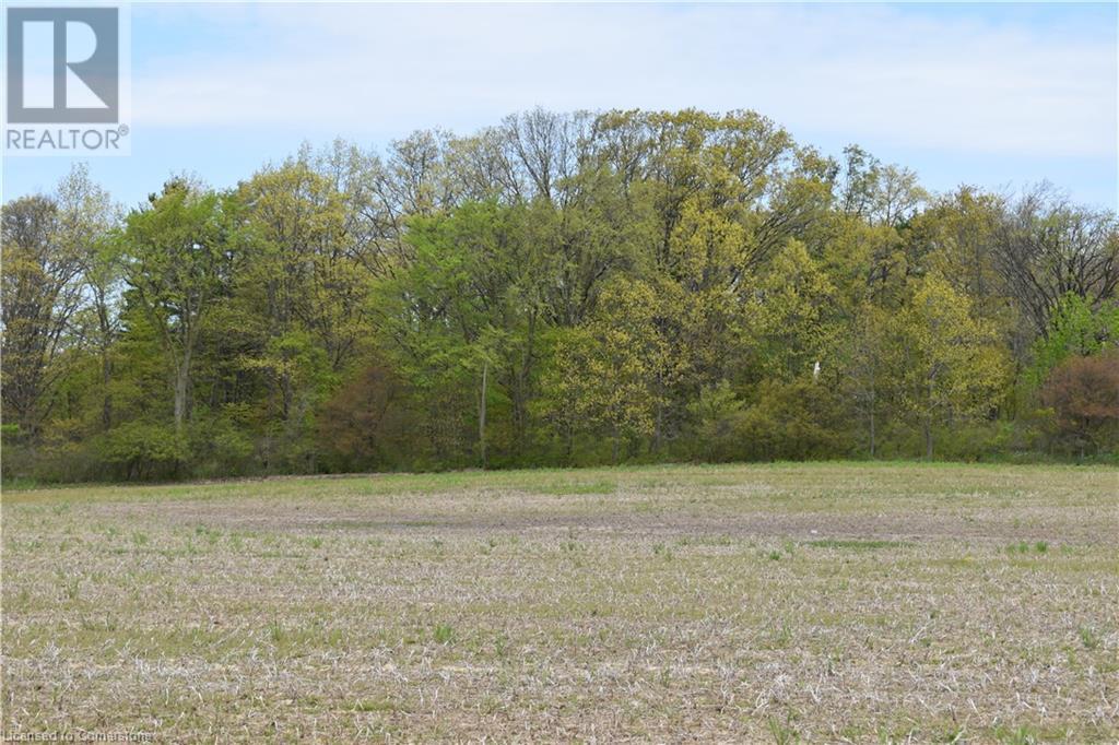 6225 Vaughn Road, Smithville, Ontario L0R 1Y0 - Photo 21 - XH4196578