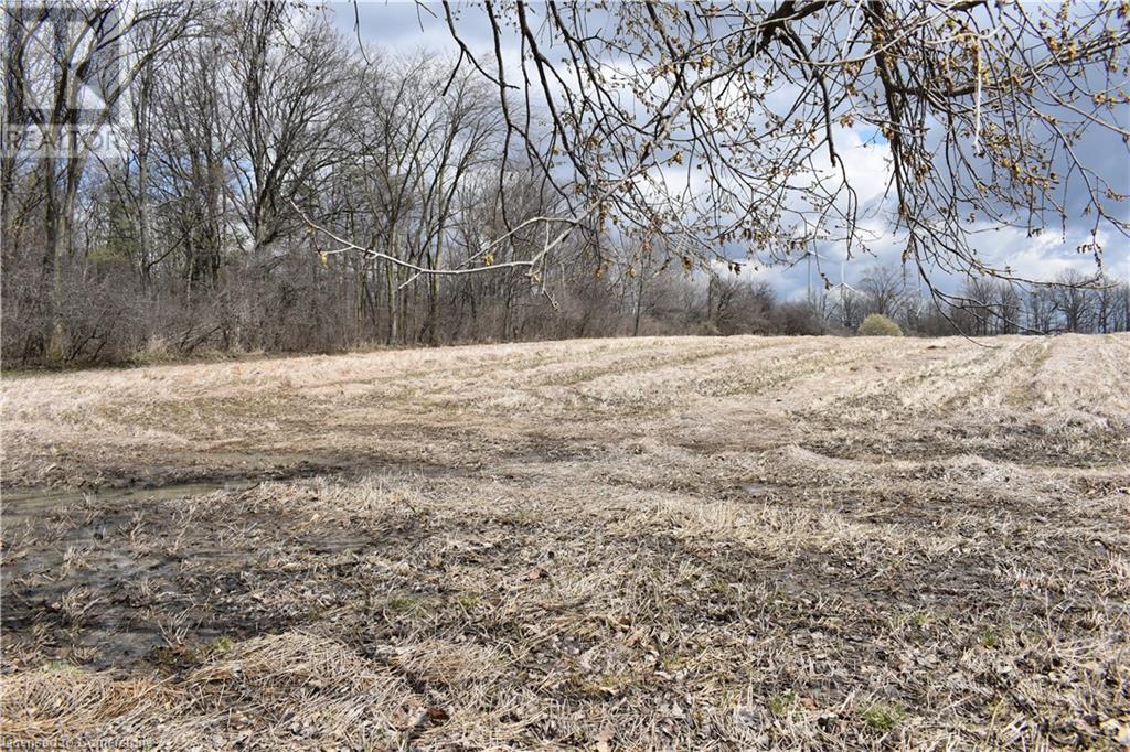 6225 Vaughn Road, Smithville, Ontario L0R 1Y0 - Photo 15 - XH4196578